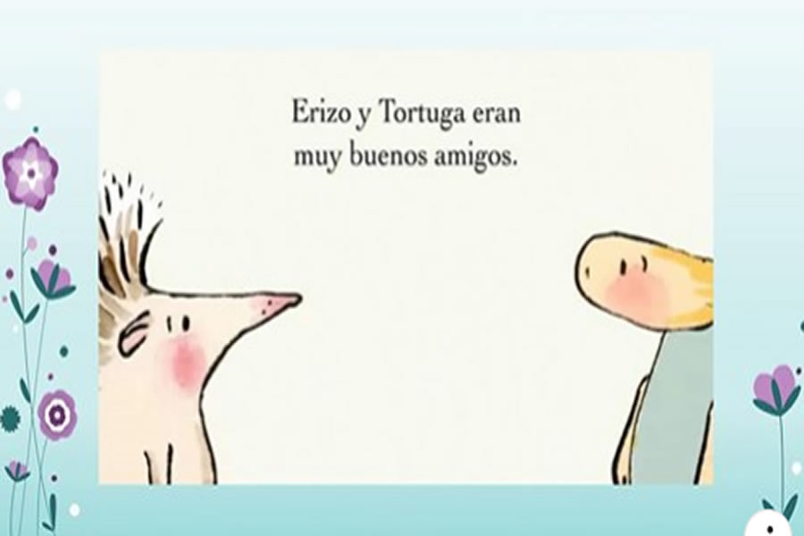 Erizo y Tortuga