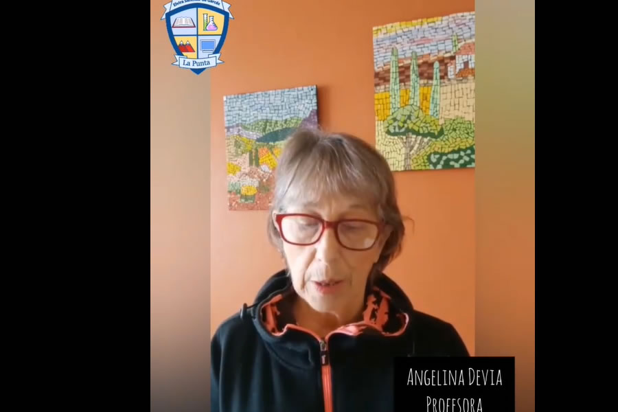 Angelina Devia, Profesora